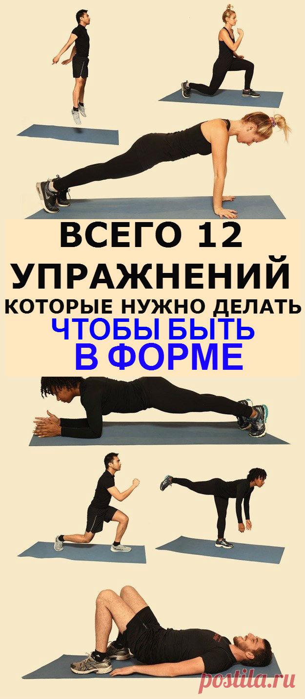 Lifter | 12 упражнений, которых хватит, чтобы всегда быть в форме!