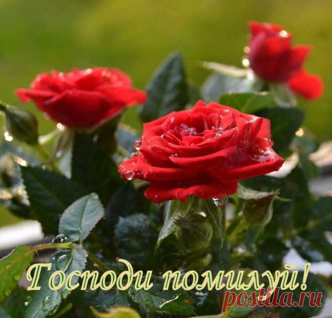 †ПОСТНАЯ ТРАПЕЗА. ПРАВОСЛАВНЫЙ ПОСТ РЕЦЕПТЫ†