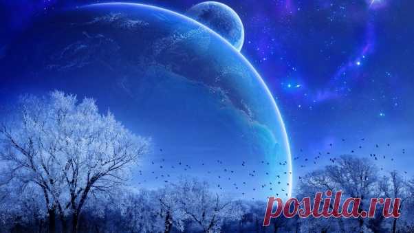 Обои Зима, деревья, птицы, планеты, звезды картинки на рабочий стол, фото