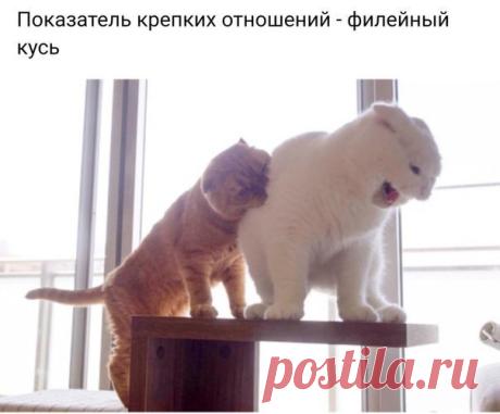 Андрей Андреевич