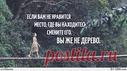 интересные фразы