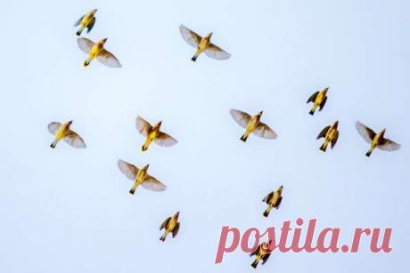 Перфекционизм человека: что с этим не так | Совет В XXI веке нас окружают идеалы — в ленте инстаграма только самые красивые подруги, в твиттере — самые смешные шутники, а на работе может складываться ощущение, что ваши...