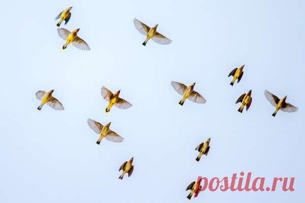 Перфекционизм человека: что с этим не так | Совет В XXI веке нас окружают идеалы — в ленте инстаграма только самые красивые подруги, в твиттере — самые смешные шутники, а на работе может складываться ощущение, что ваши...