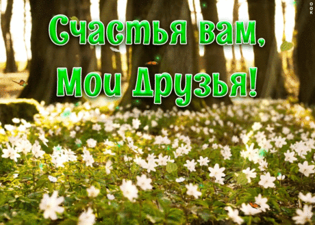 Счастья вам, мои друзья