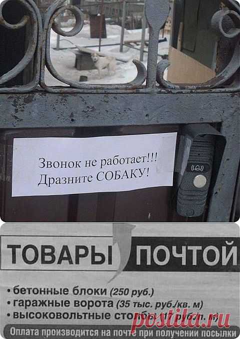 Не надо так шутить! | Как прекрасен этот мир