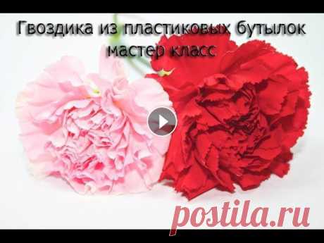 Цветы своими руками из пластиковых бутылок, гвоздика Цветы своими руками из пластиковых бутылок, гвоздика.Как я и обещала ссылка на много интересных поделок из бутылок - Ссылка как сделать верёвочку из п...