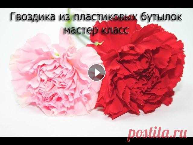 Цветы своими руками из пластиковых бутылок, гвоздика Цветы своими руками из пластиковых бутылок, гвоздика.Как я и обещала ссылка на много интересных поделок из бутылок - Ссылка как сделать верёвочку из п...