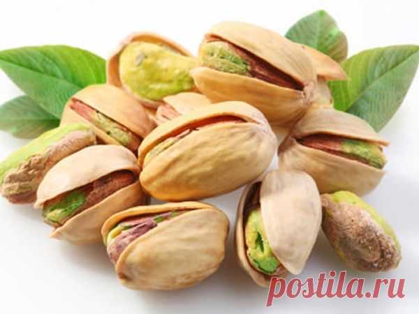 Фисташки. Польза для здоровья и красоты - Экологическое землетворчество | Экологическое землетворчество