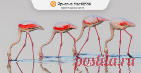 12 лучших фото Europe's Nature Treasures 2018 Благотворительная организация EuroNatur подвела итоги ежегодного конкурса фотографии Europe's Nature Treasures 2018. Компетентным жюри были отобраны 12 лучших кадров, отдающих должное такому&hellip;