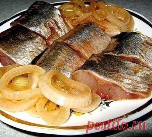 Отличный способ засолки селедки