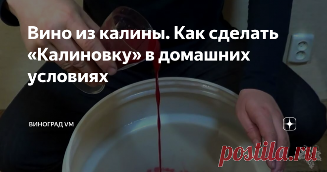 Вино из калины. Как сделать «Калиновку» в домашних условиях Как приготовить вкусное вино из калины