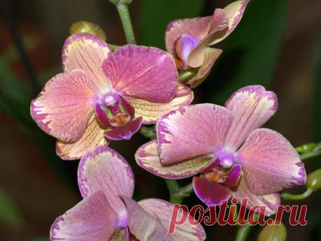 Новости - МирТесен