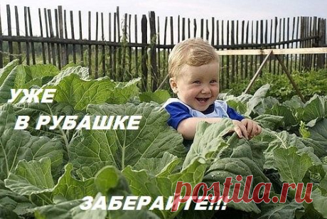 ВОСКРЕСНАЯ УЛЫБКА! | О сокровенном и прекрасном | Группы Мой Мир