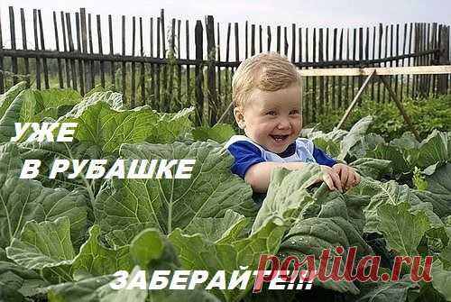 ВОСКРЕСНАЯ УЛЫБКА! | О сокровенном и прекрасном | Группы Мой Мир