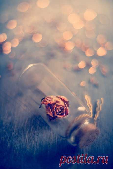 Приворот на подаренную вещь. Приворот, чтобы после ссоры восстановить любовные отношения.