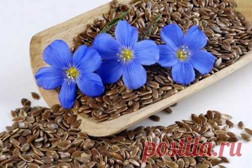 Семя льна и чеснока для очищения кишечника от паразитов