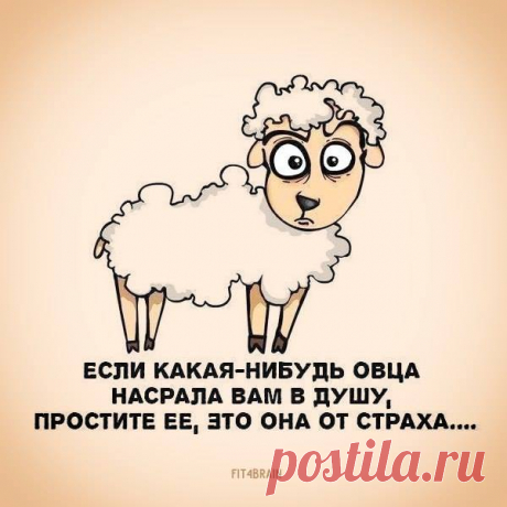 Точно.