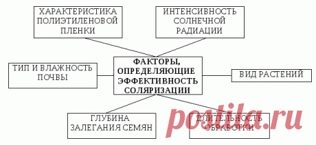 Соляризация почвы - Садоводка