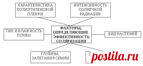 Соляризация почвы - Садоводка