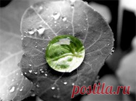 "Живая" вода без хлопот - Диеты, Здоровье, Красота - Сборник - Познавательный Интернет-журнал "Умеха - мир самоделок"