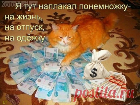 ДОМУШНИК | KotoMail.ru