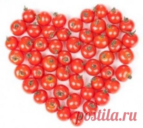 Подготовка семян томатов к посеву