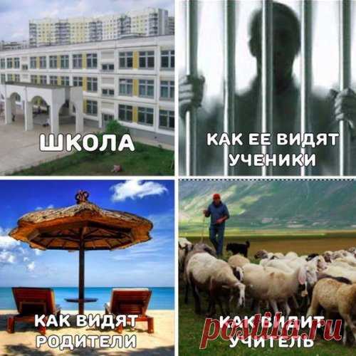 Новые фотомемы для хорошего настроения (33 шт)