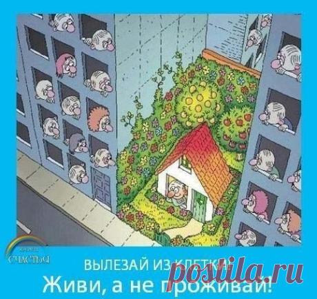Алиса Логвинова