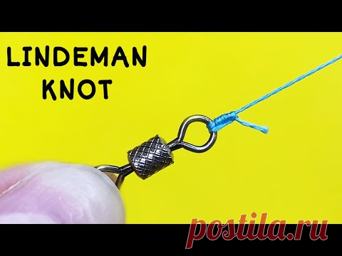 Рыболовный узел lindeman knot это прочный и надежный узел, который можно вязать на любой мононити из нейлона и флюорокарбона, а также на плетеных шнурах. Область применения очень широкая, им можно привязать все, что имеет колечко для крепления.

К его достоинствам можно добавить и то, что он прочнее популярного узла Клинч и сохраняет 85-90% прочности лески и даже больше, если толщина проволоки кольца, на котором он вяжется, превышает диаметр лески.