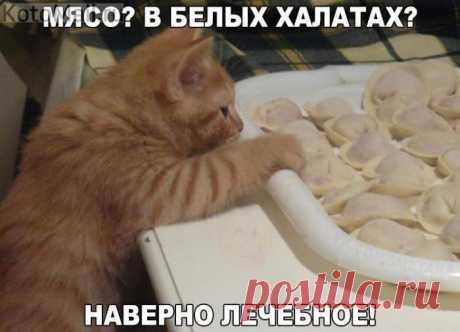 Находчивый