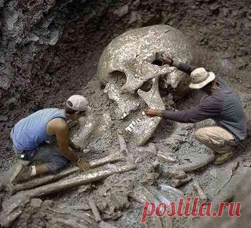 Смитсоновский институт признал, что уничтожил в начале 1900 годов тысячи гигантских человеческих скелетов