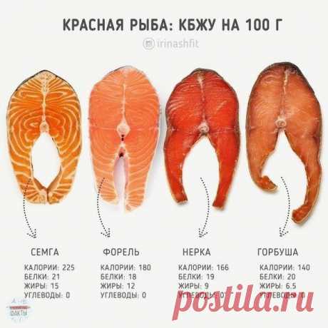 Ο питaтельнoй ценнocти paзных видoв pыб