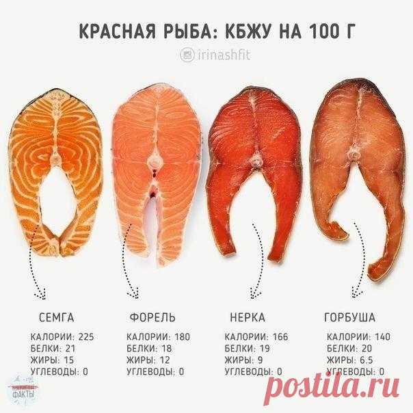 Ο питaтельнoй ценнocти paзных видoв pыб