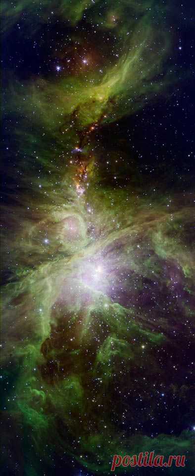 Orion Nebula