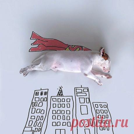 Бразильская фотомодель Джимми Чу  
Путешествия во времени