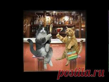 ХОРОШЕГО   НАСТРОЕНИЯ ! УЛЫБНИСЬ ! - позитивчик . - YouTube