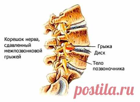 НЕ УСТАЮ СВОЙ ОПЫТ ПРЕДЛАГАТЬ | Советы Народной Мудрости