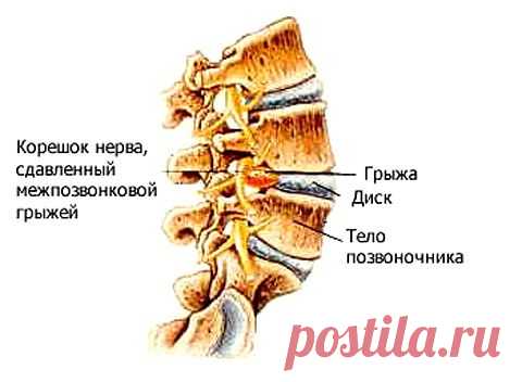 НЕ УСТАЮ СВОЙ ОПЫТ ПРЕДЛАГАТЬ | Советы Народной Мудрости