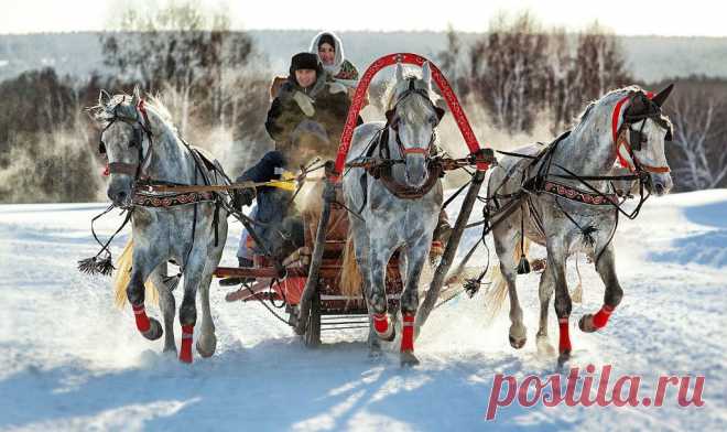 Одноклассники