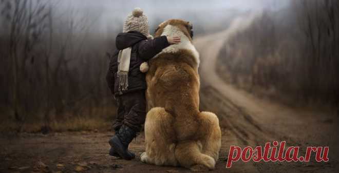 Поиск@Mail.Ru