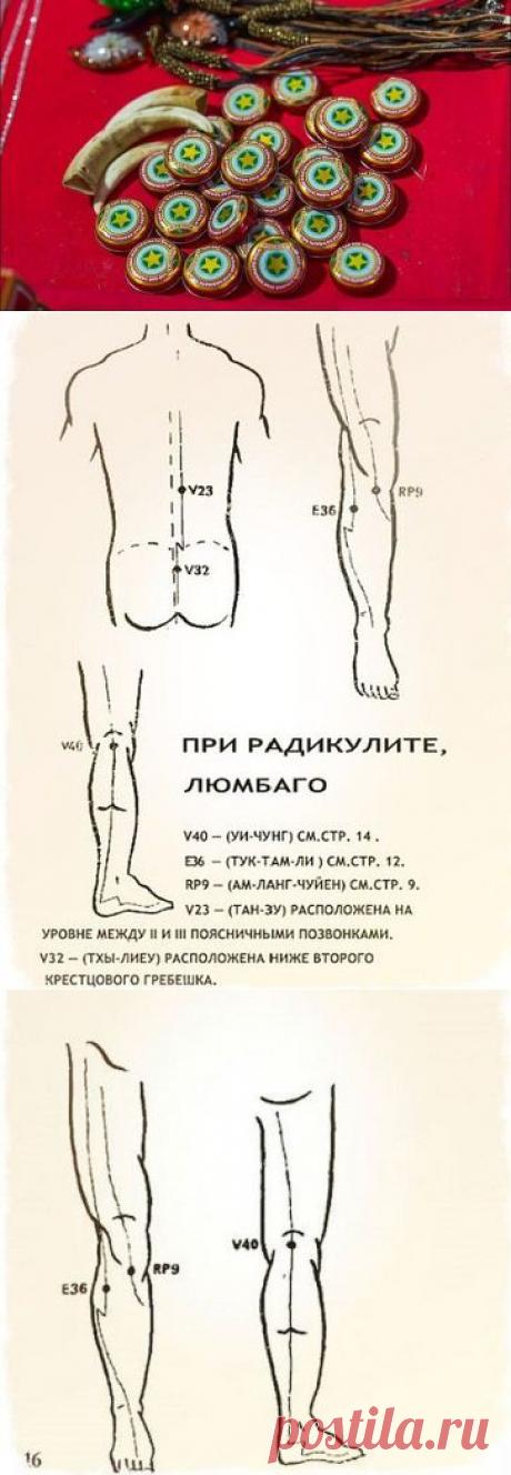 СВОЙСТВА "ЗВЁЗДОЧКИ" !!! **Чудо -бальзам: Лечение радикулита, Снятие боли в коленных суставах. *Нанеси бальзам и массажируй эти зоны для лучшего эффекта.