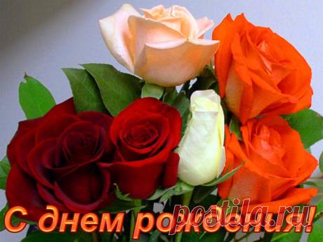 11786103.jpg (1024×768)