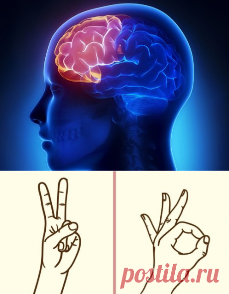4 упражнения, чтобы не утратить ясность мышления в старости..