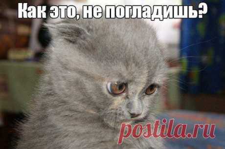 Интересные новости