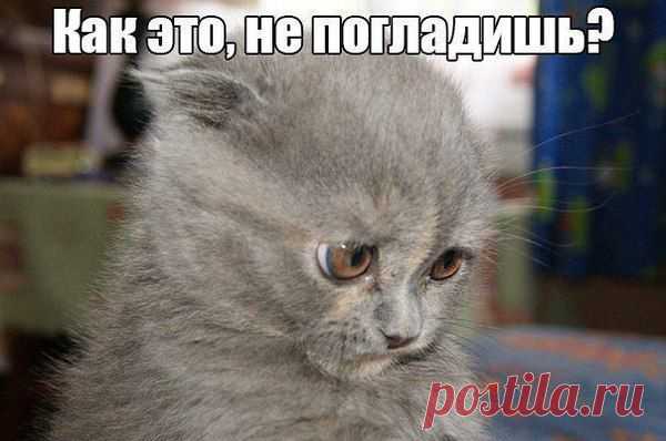 Интересные новости