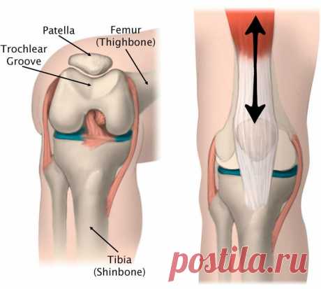 Болят колени? 8 простых упражнений от физиотерапевта Робина Маккензи