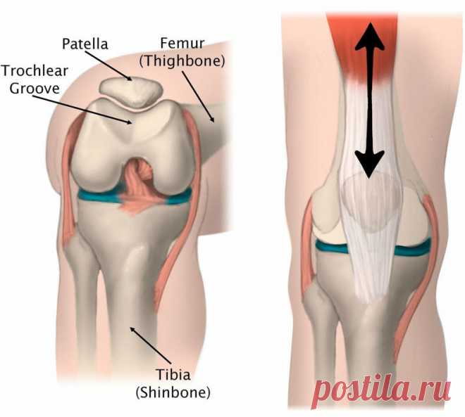 Болят колени? 8 простых упражнений от физиотерапевта Робина Маккензи