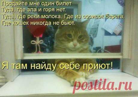 :-)))