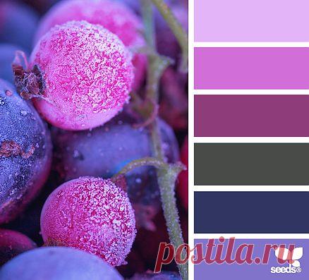 Design Seeds® | find your palette