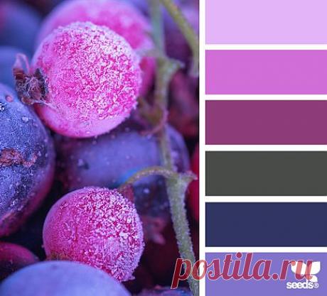 Design Seeds® | find your palette